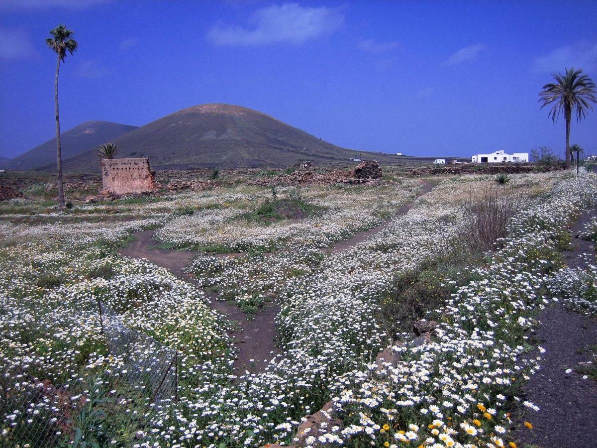 Castillo Lanzarote Villa Winni - Luxury Villa - Pet Friendly With Heated Pool La Asomada  المظهر الخارجي الصورة