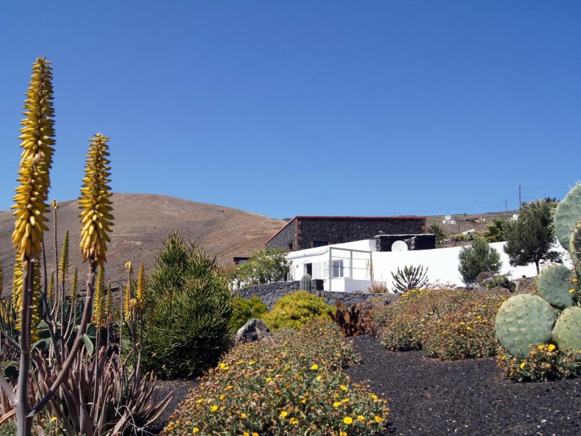 Castillo Lanzarote Villa Winni - Luxury Villa - Pet Friendly With Heated Pool La Asomada  المظهر الخارجي الصورة